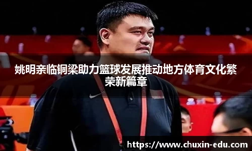 多多28官网