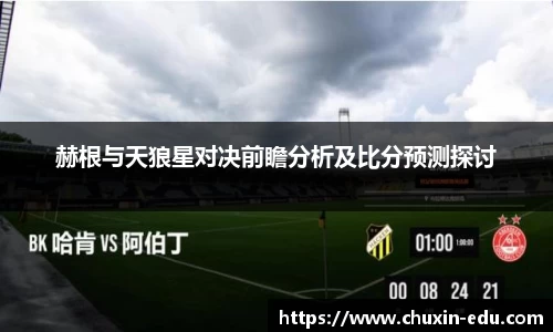 赫根与天狼星对决前瞻分析及比分预测探讨