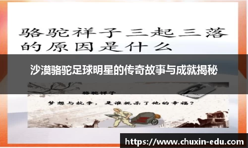 沙漠骆驼足球明星的传奇故事与成就揭秘